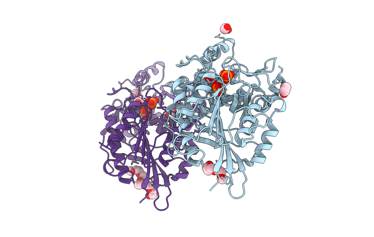 4ARV image