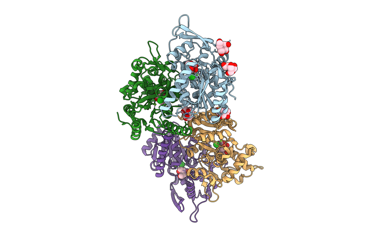 4AS2 image