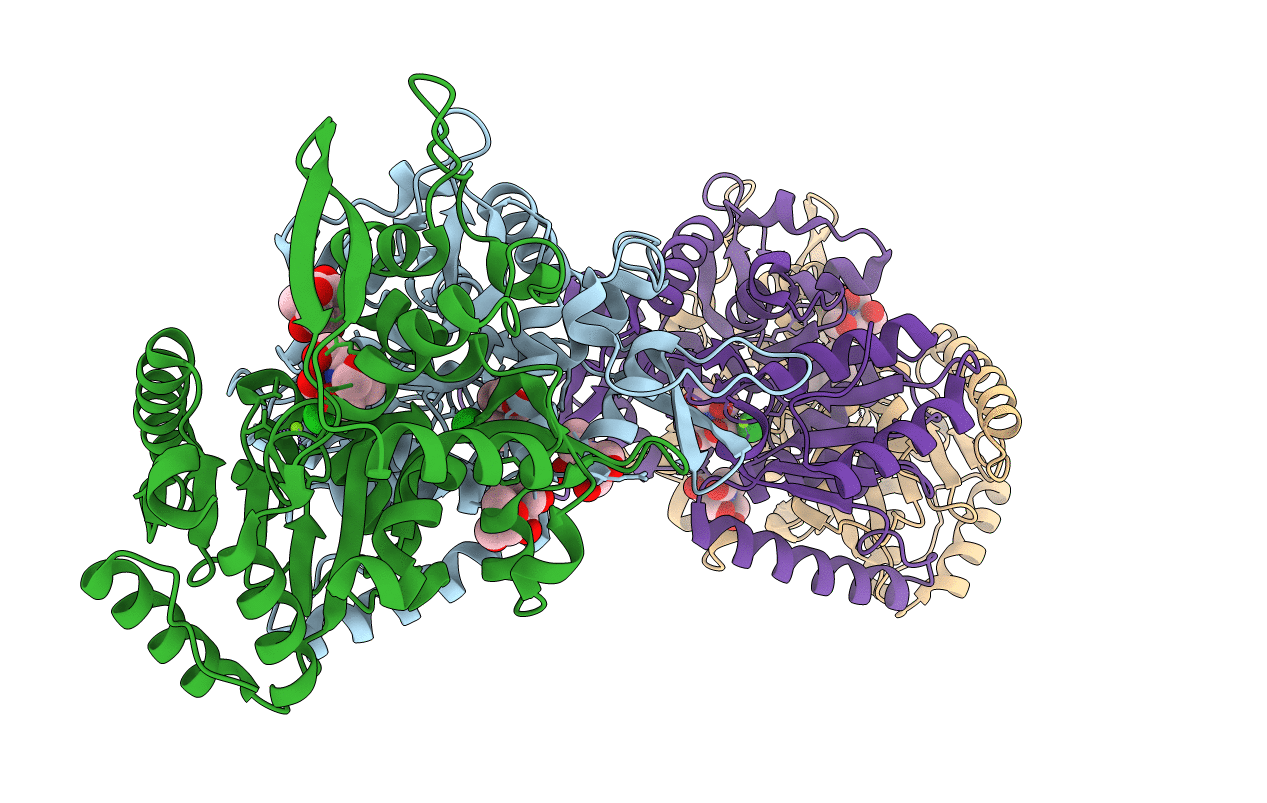 4AS3 image