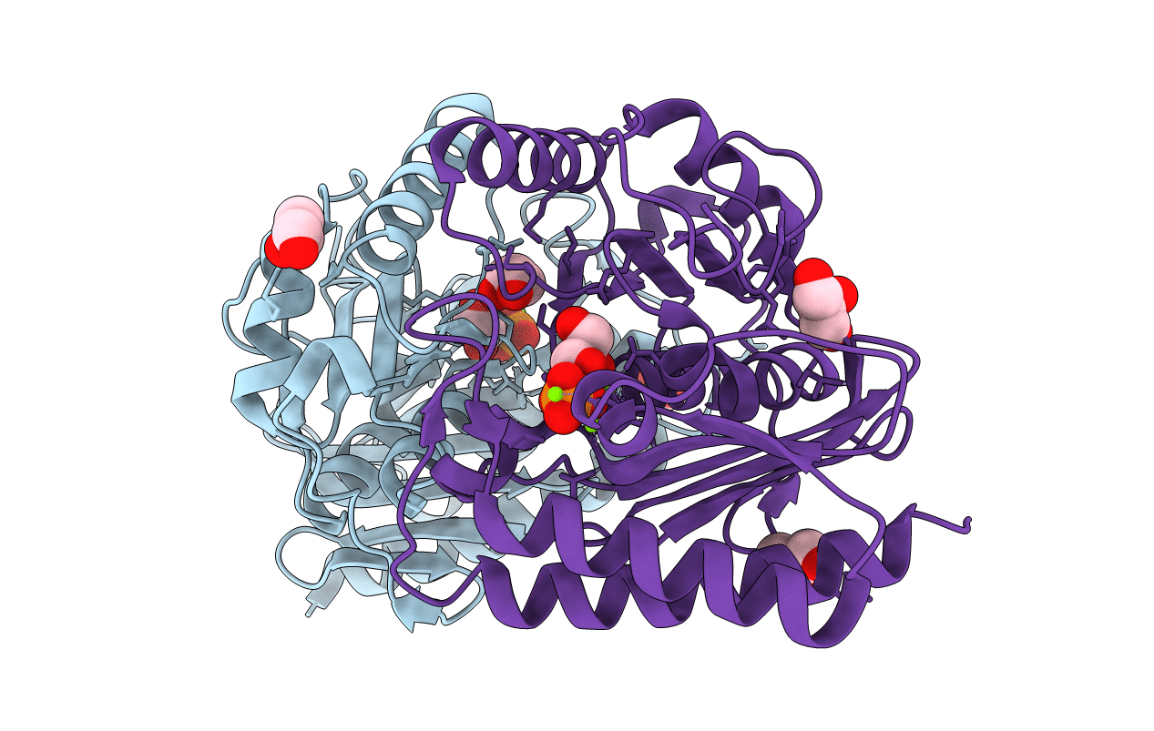 4AS4 image