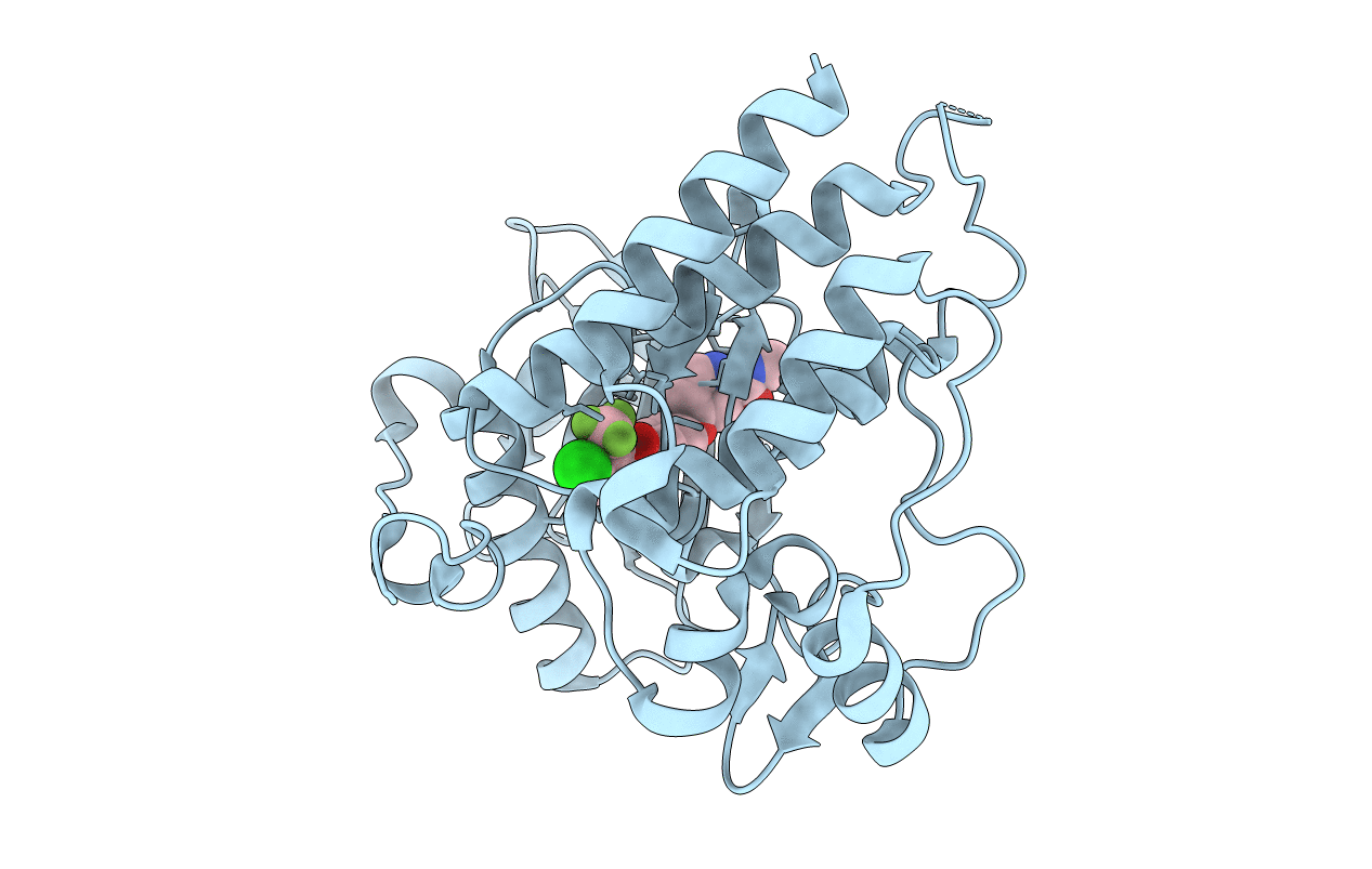 4ASD image