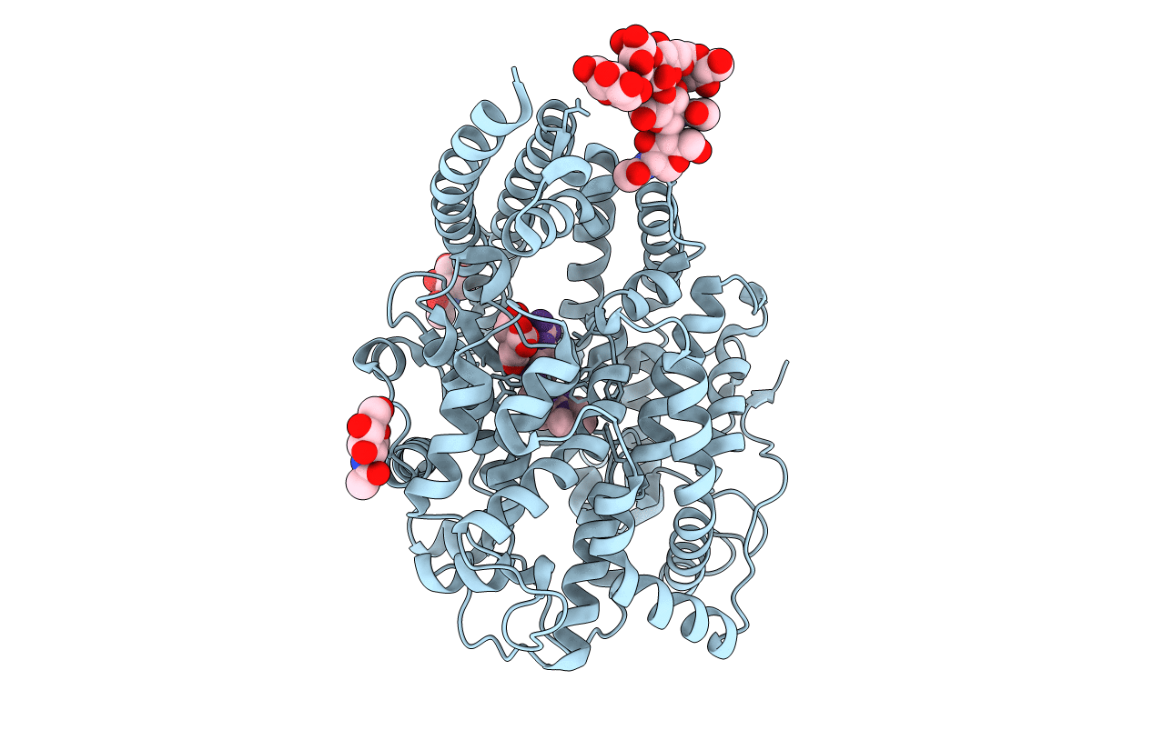 4ASR image
