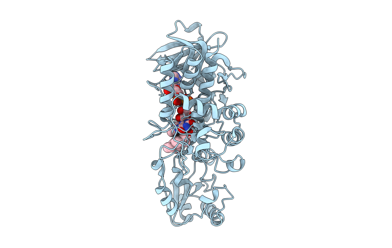 4AT2 image