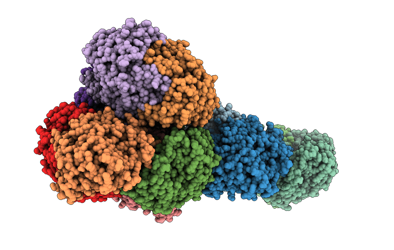 4ATP image
