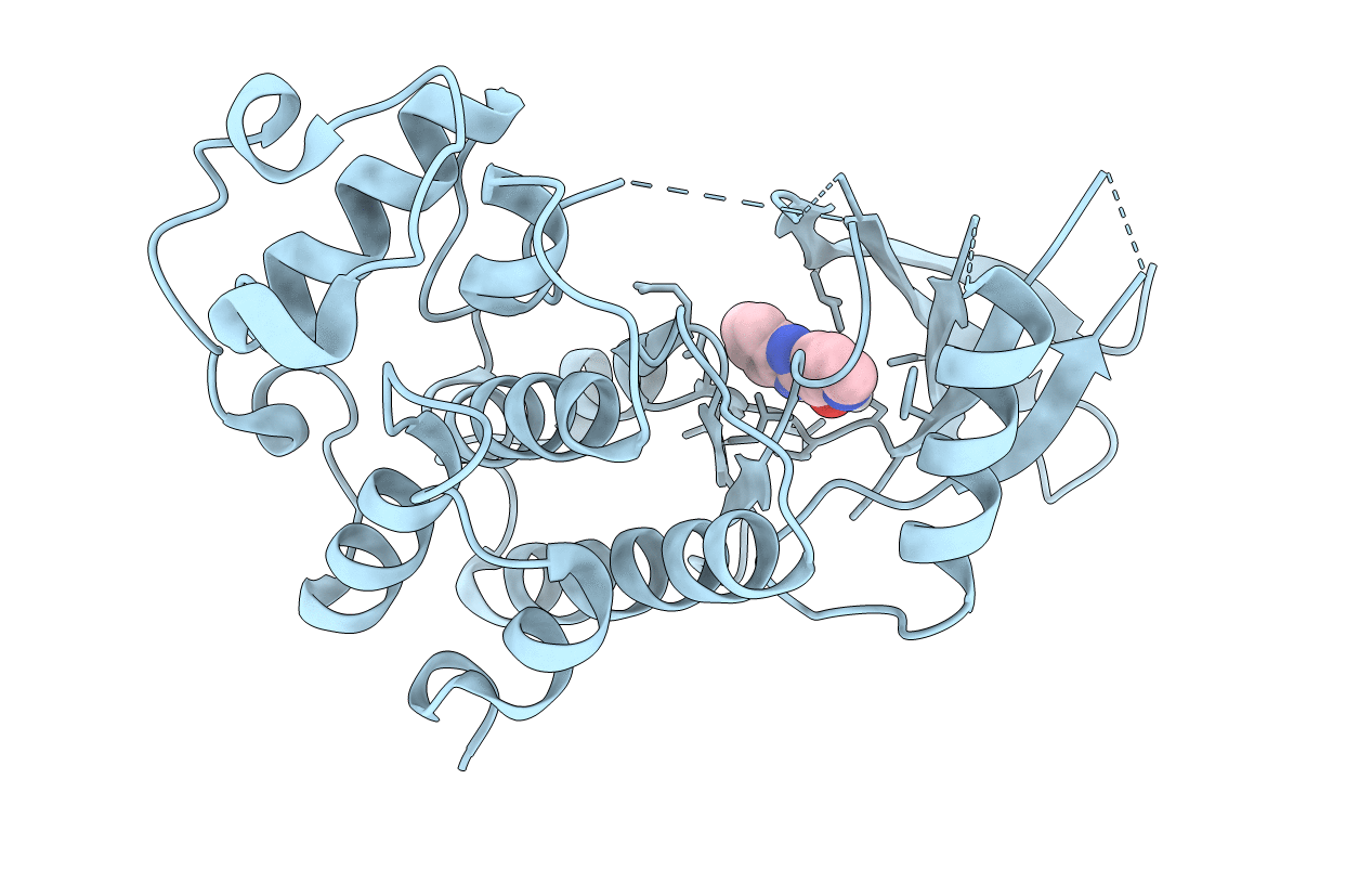 4AUA image