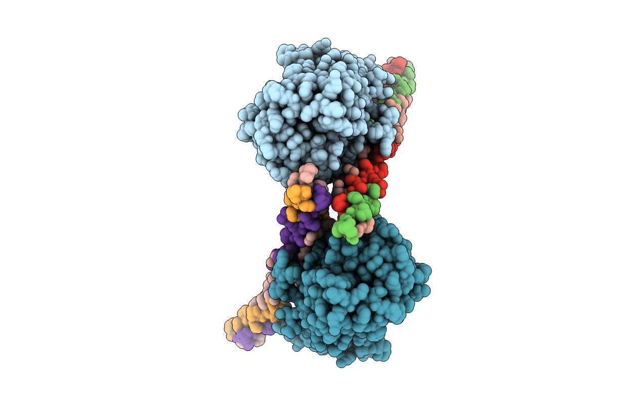 4AUO image