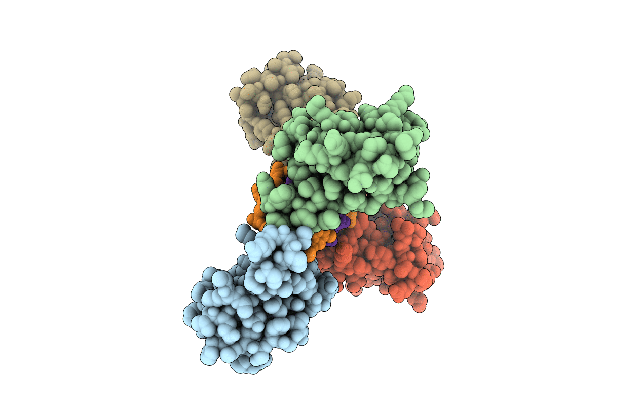 4AV1 image