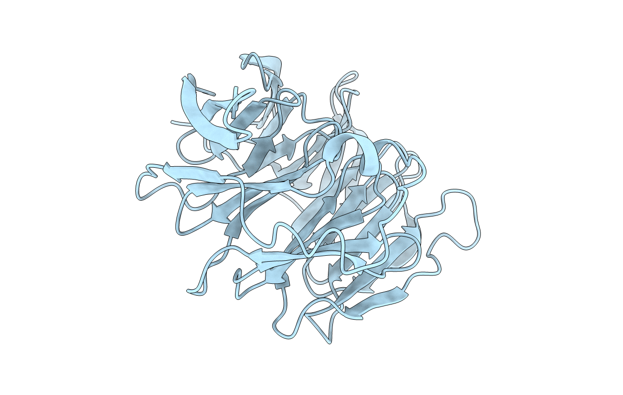 4AV8 image