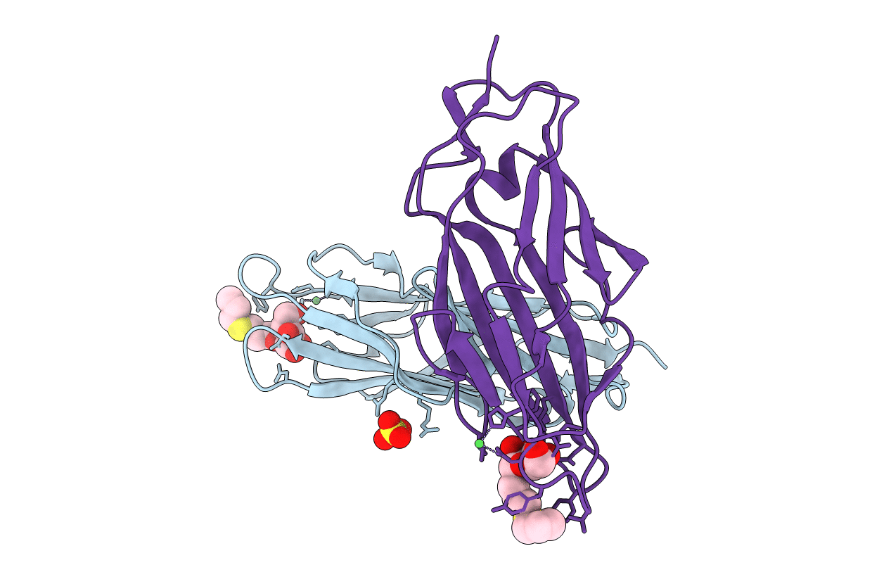4AVH image