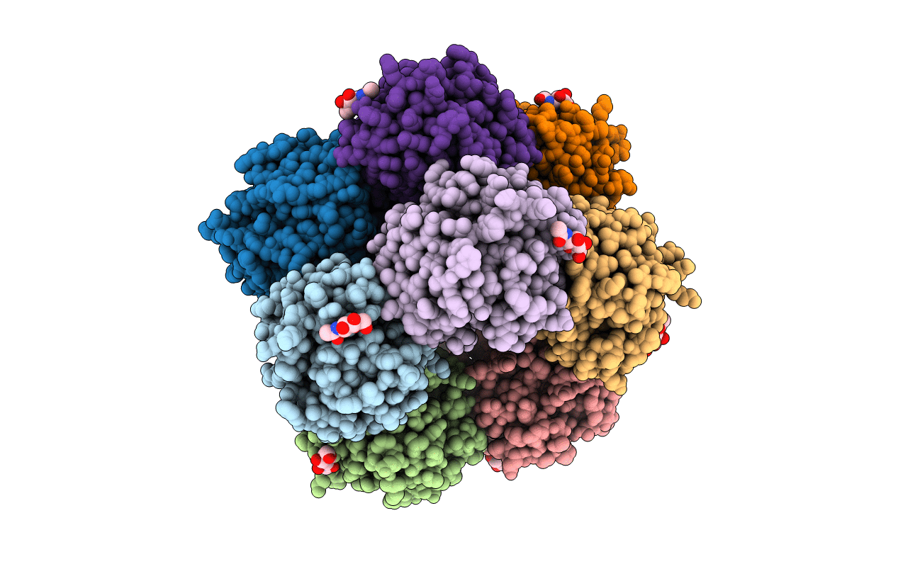 4AVT image