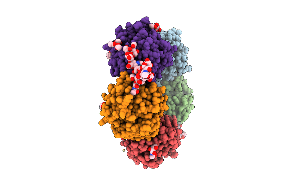 4AVV image
