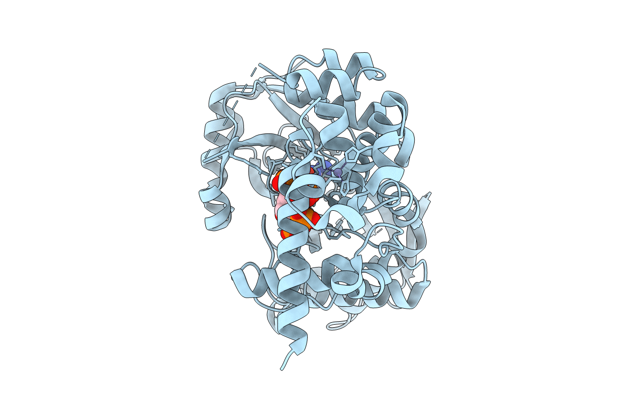 4AXF image