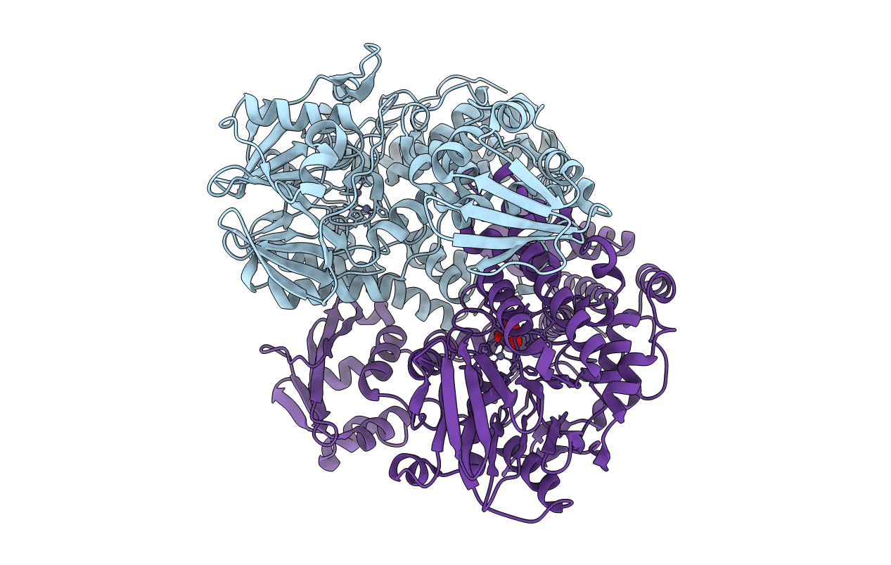 4AXH image