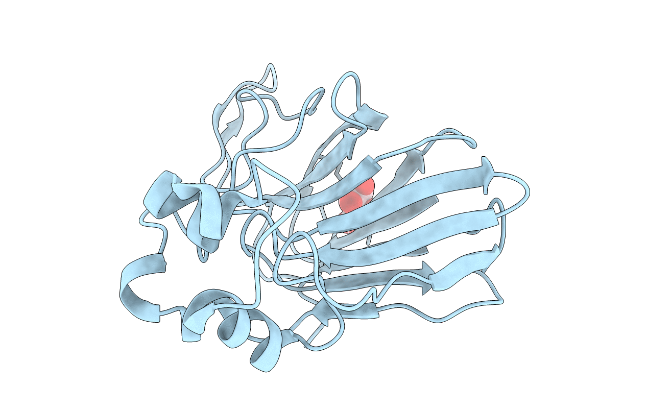 4AXR image