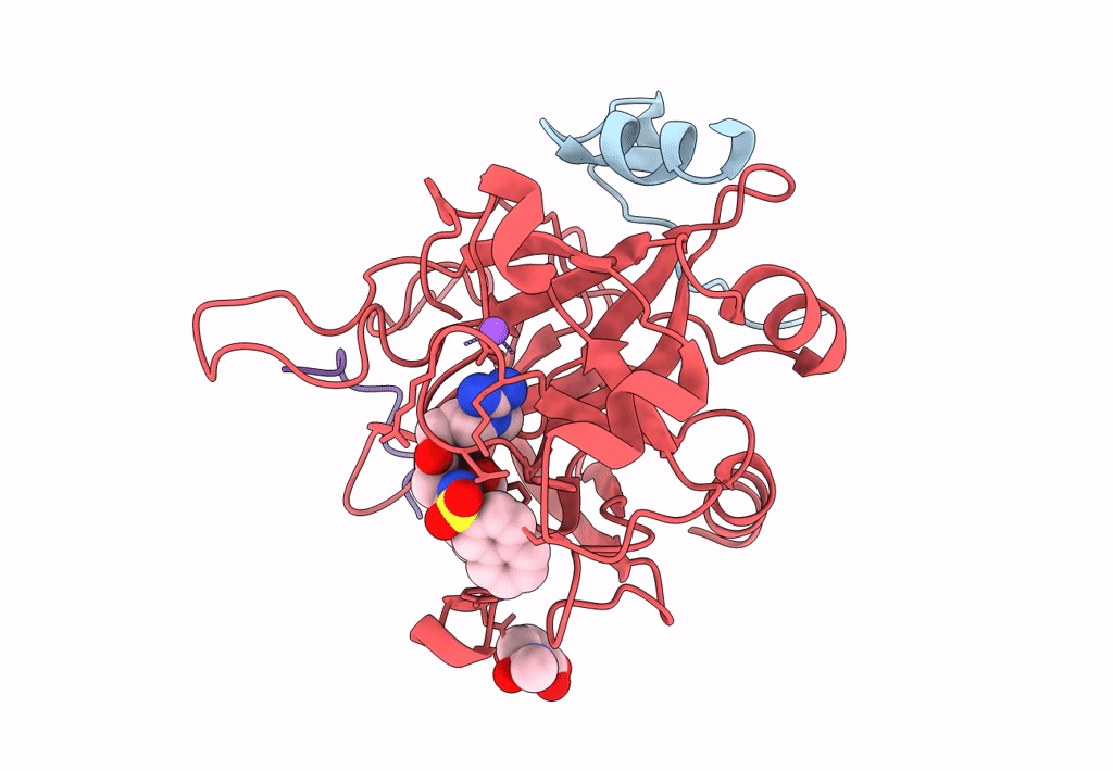 4AYV image