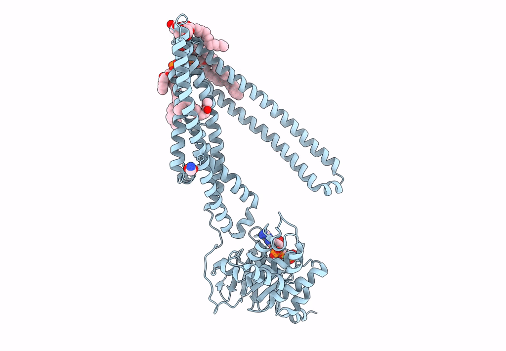4AYX image