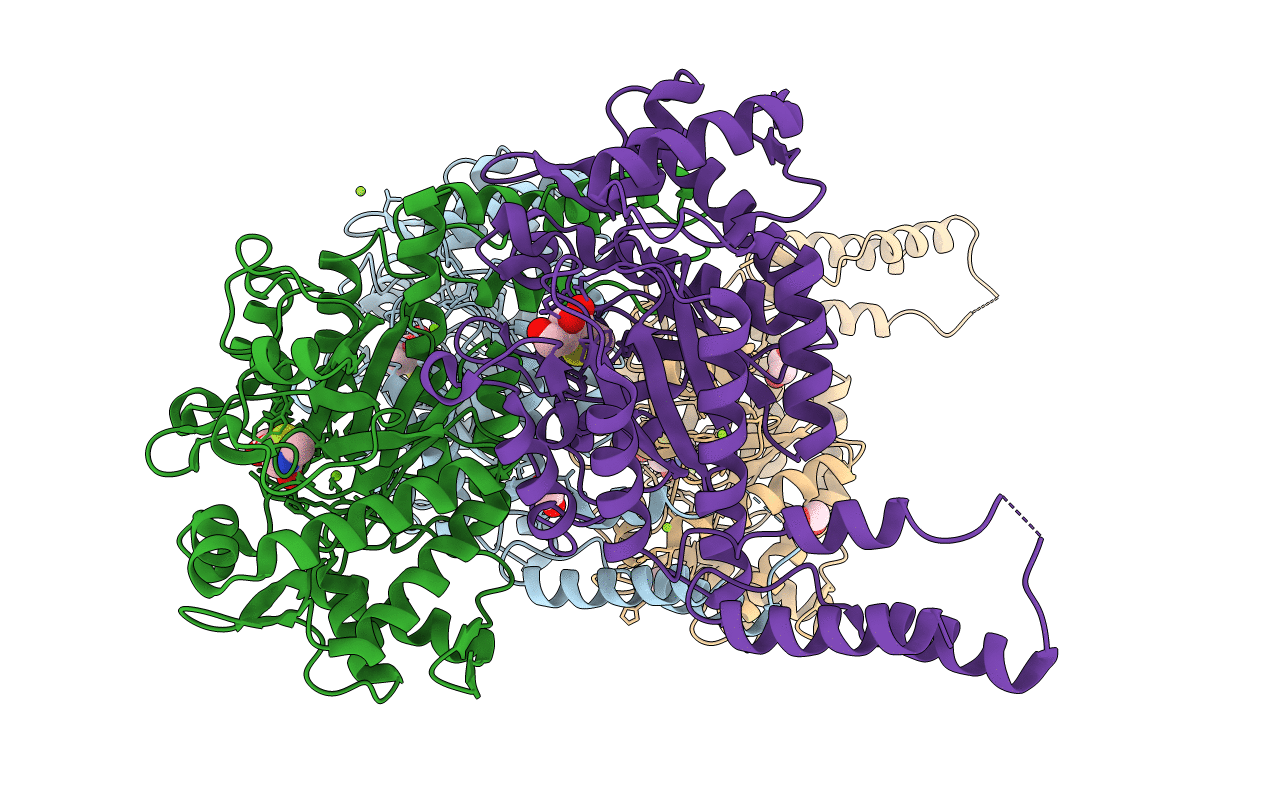 4AZC image