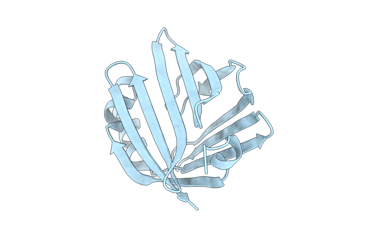 4AZO image
