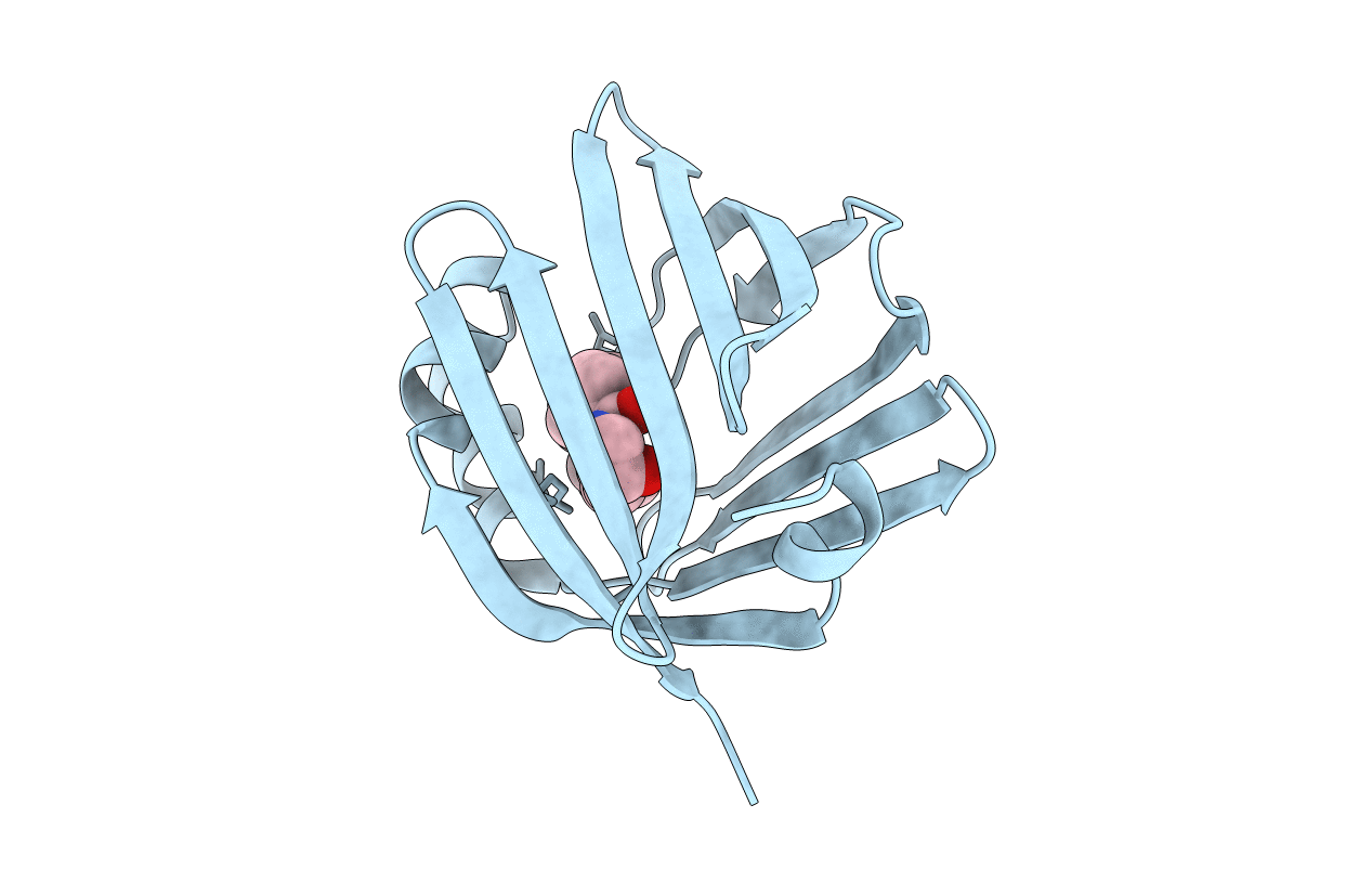 4AZP image