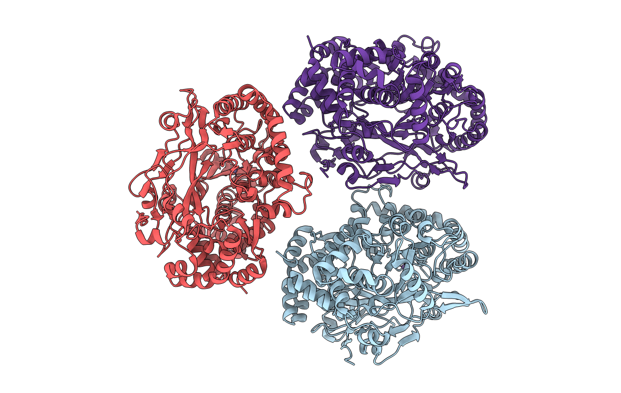 4B02 image