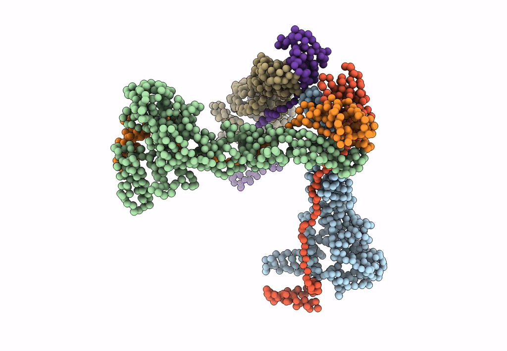 4B03 image