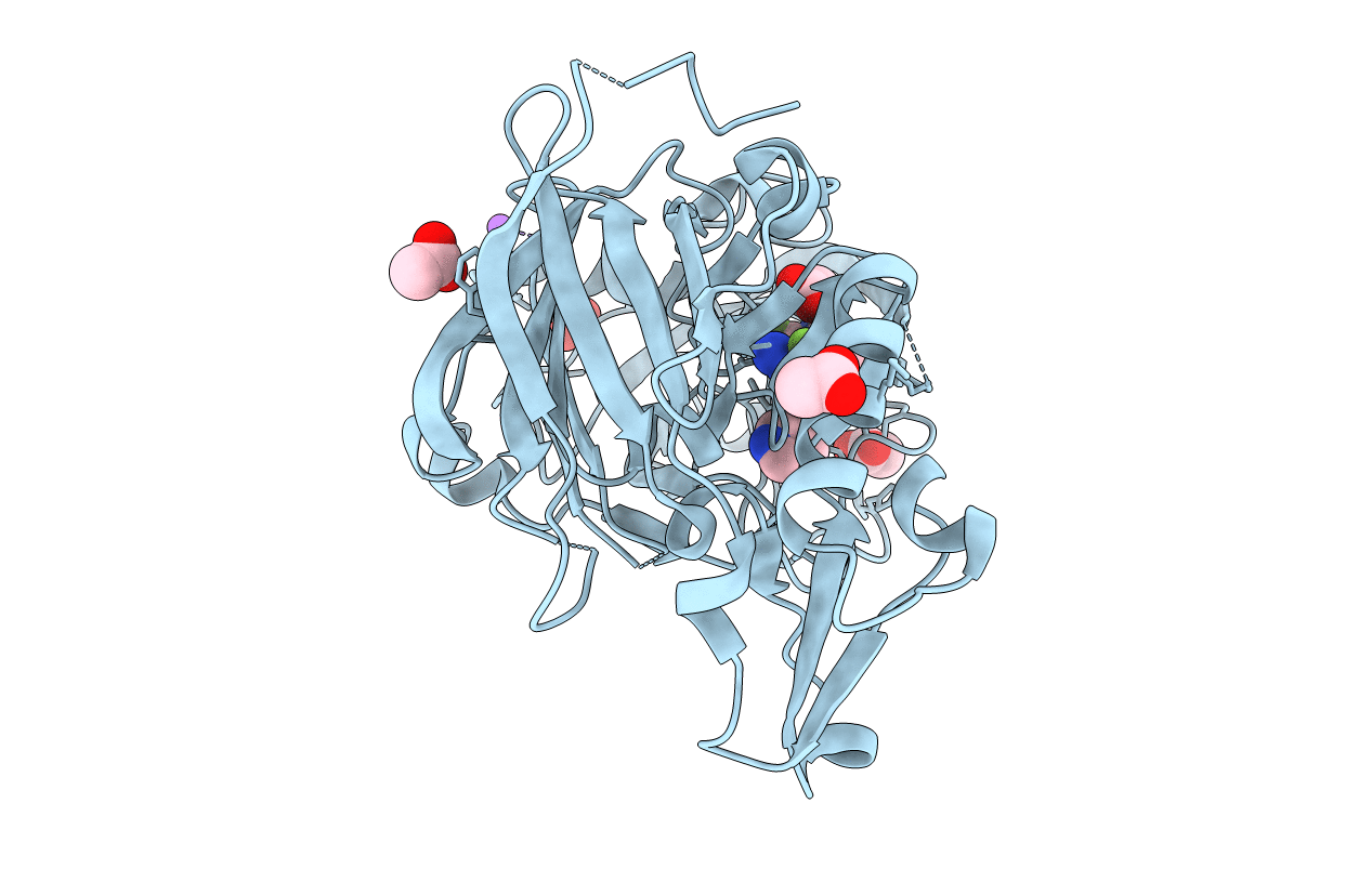4B05 image