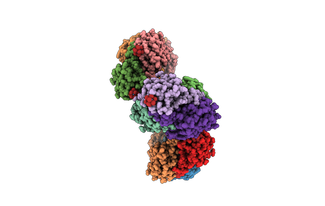 4B09 image