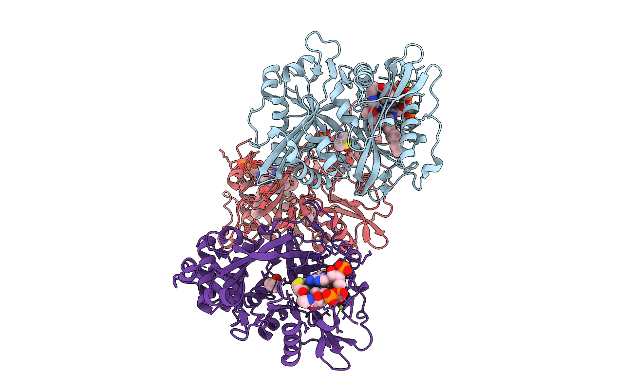 4B10 image