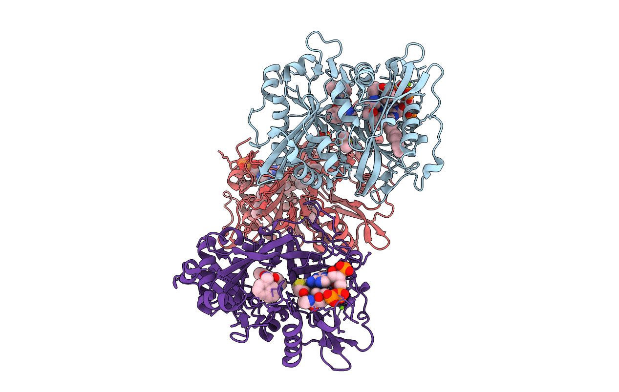 4B11 image