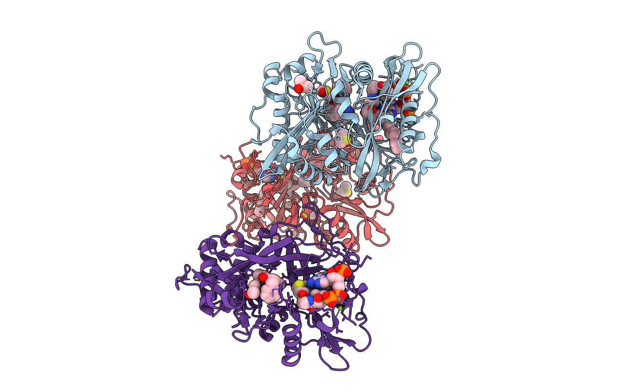 4B12 image