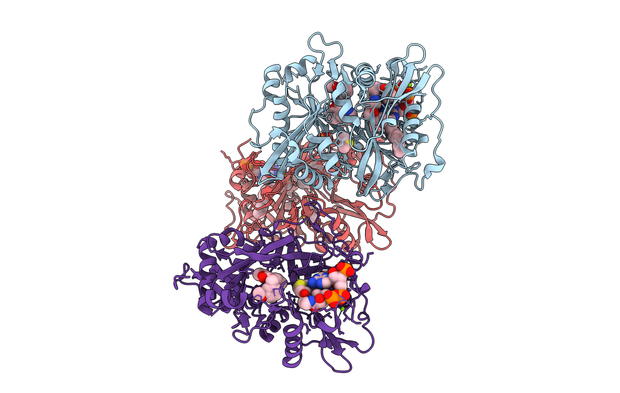 4B14 image