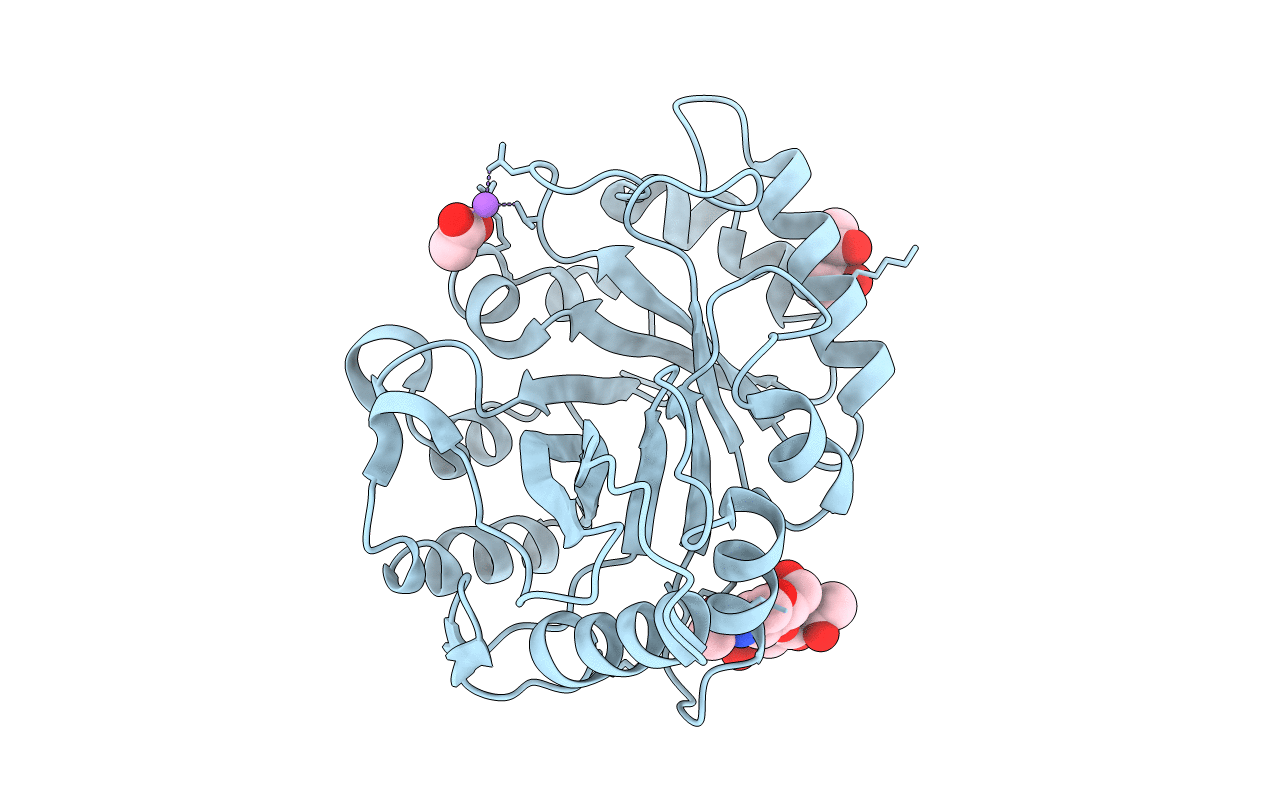 4B15 image