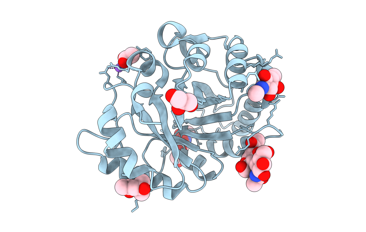 4B16 image