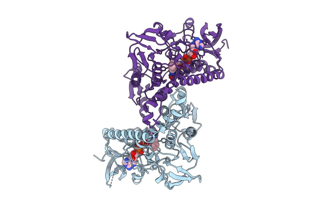 4B1B image