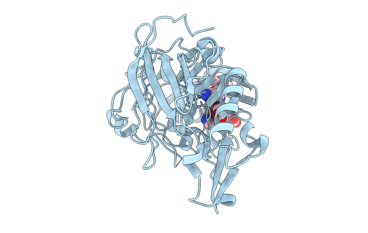 4B1D image