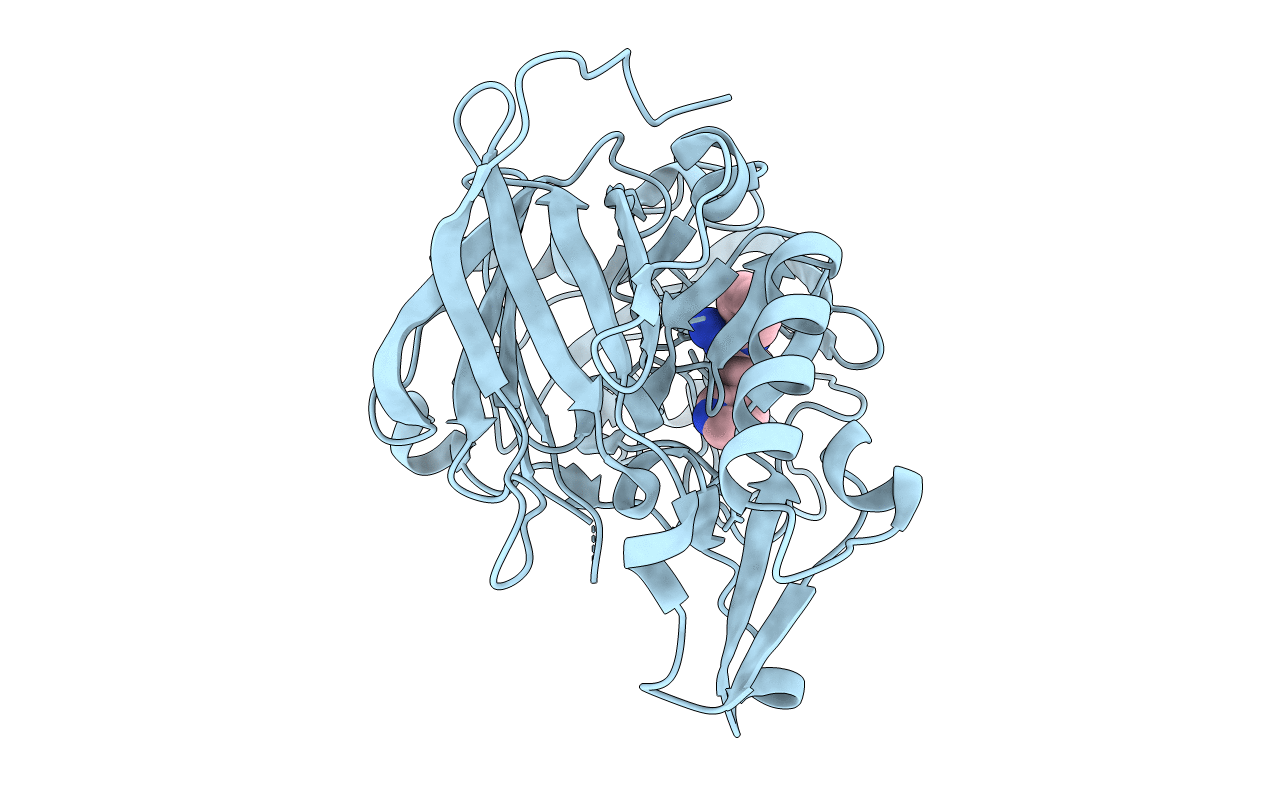 4B1E image
