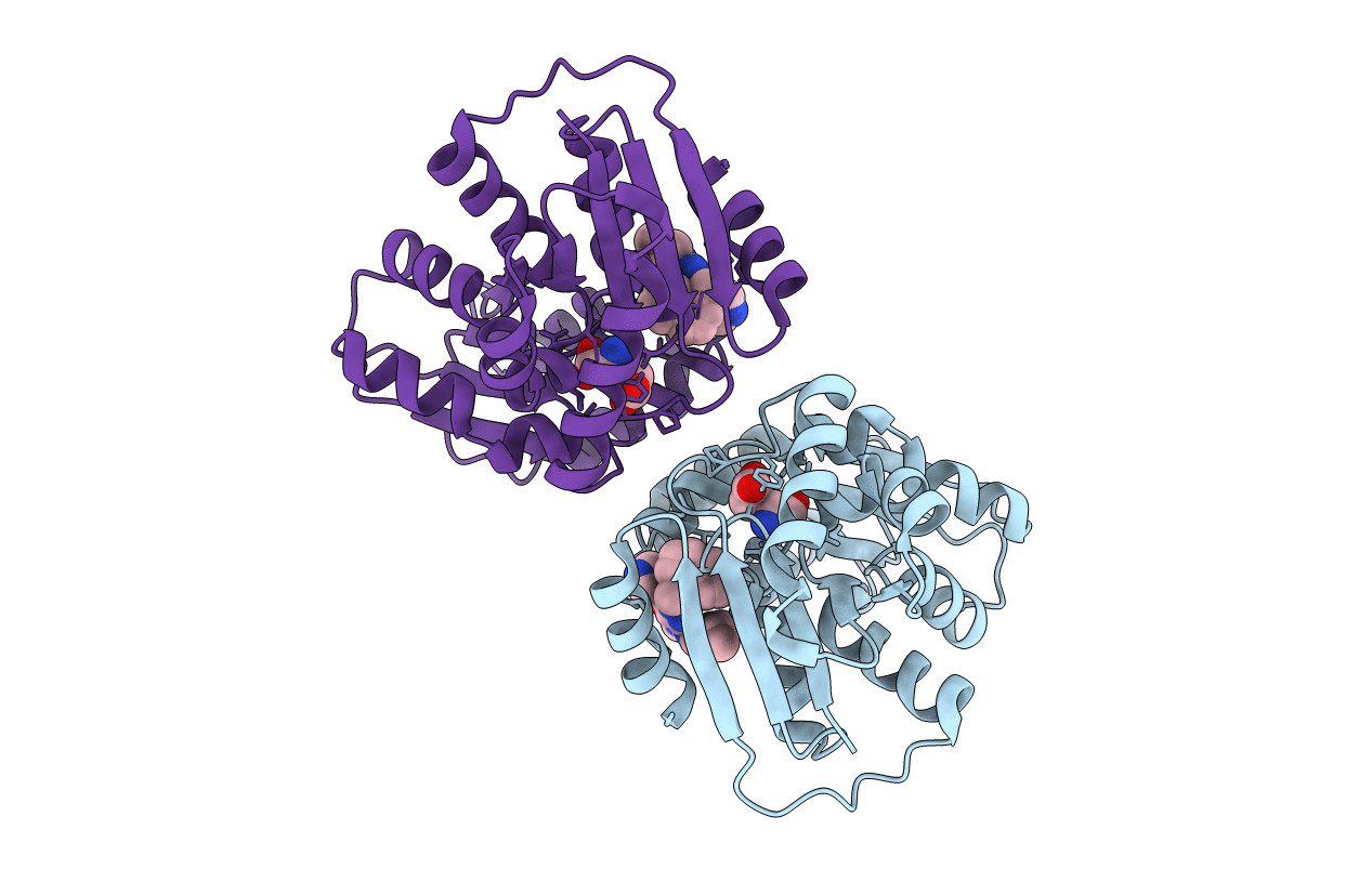 4B1F image