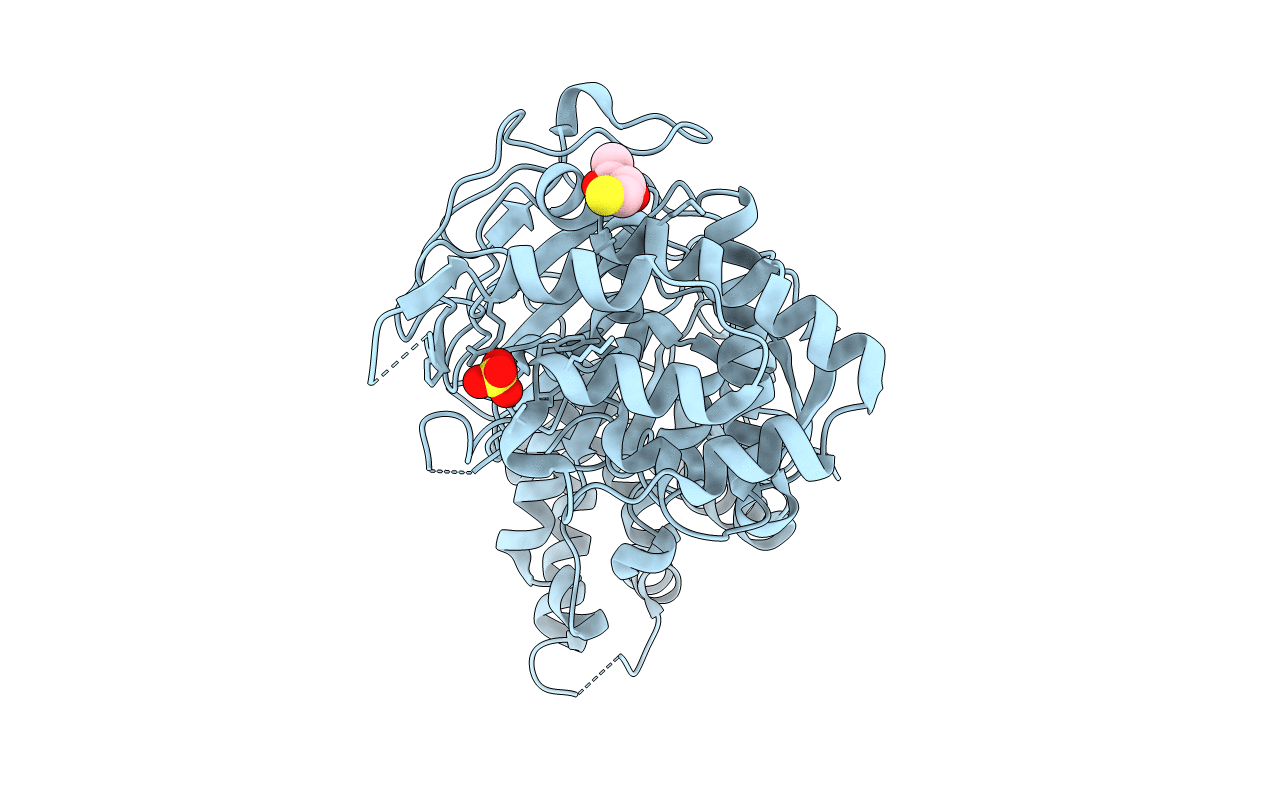 4B1G image