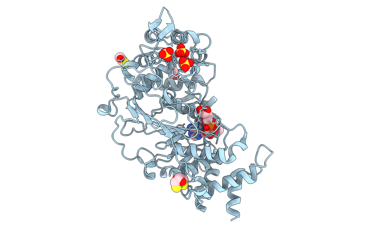 4B1I image