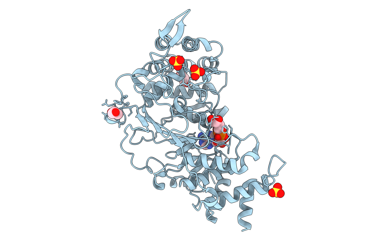 4B1J image