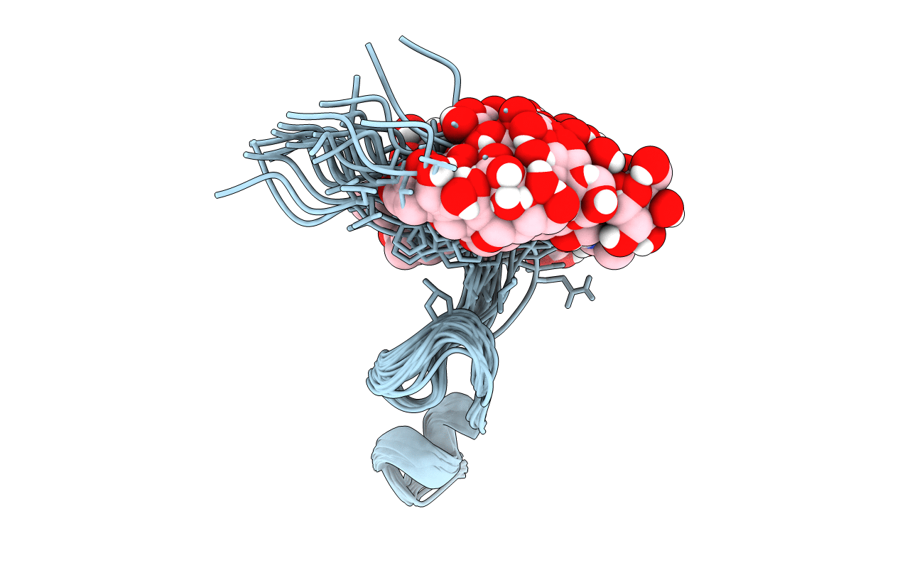 4B1Q image