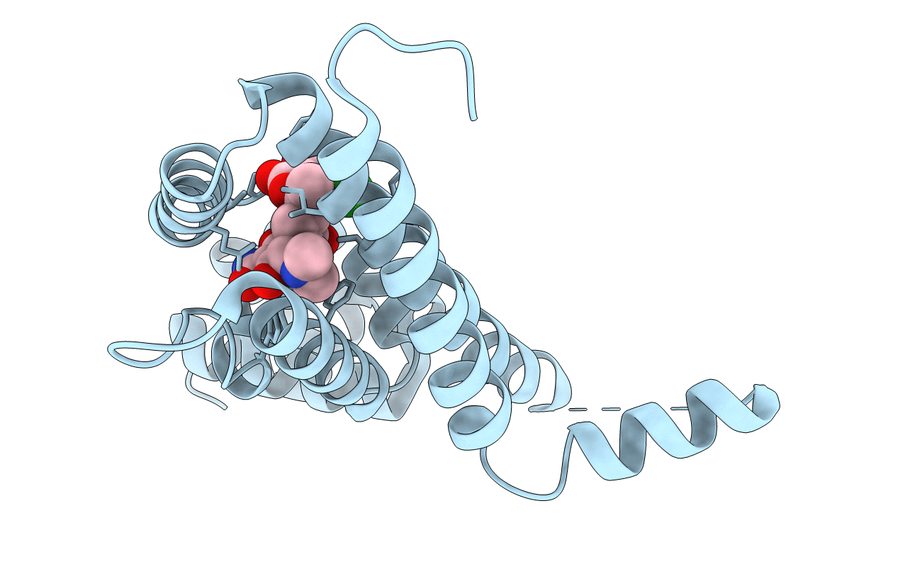 4B1R image
