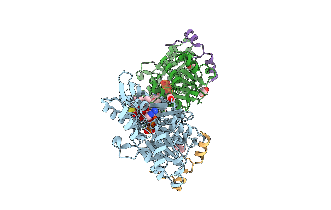 4B1V image