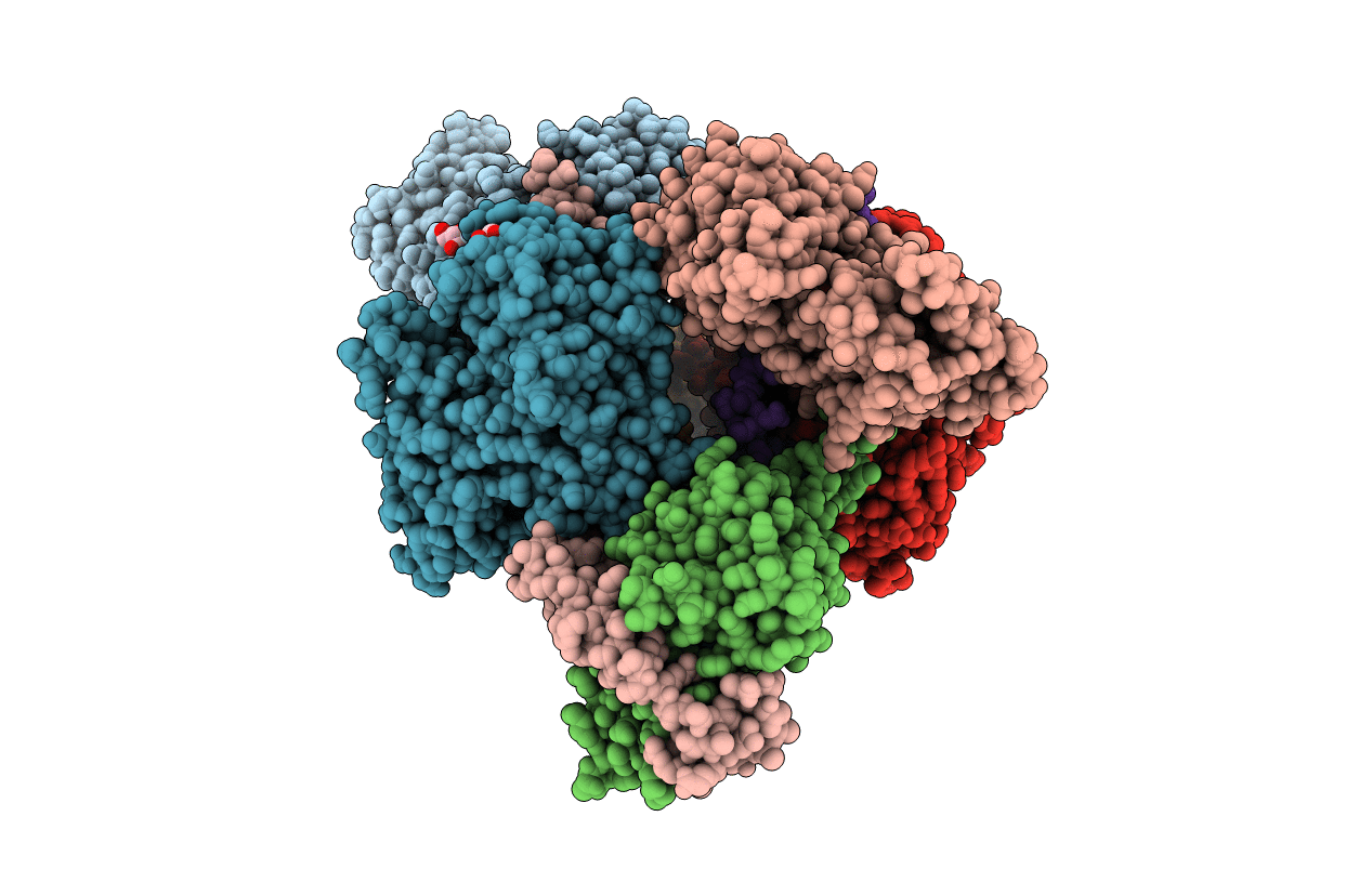 4B1Z image
