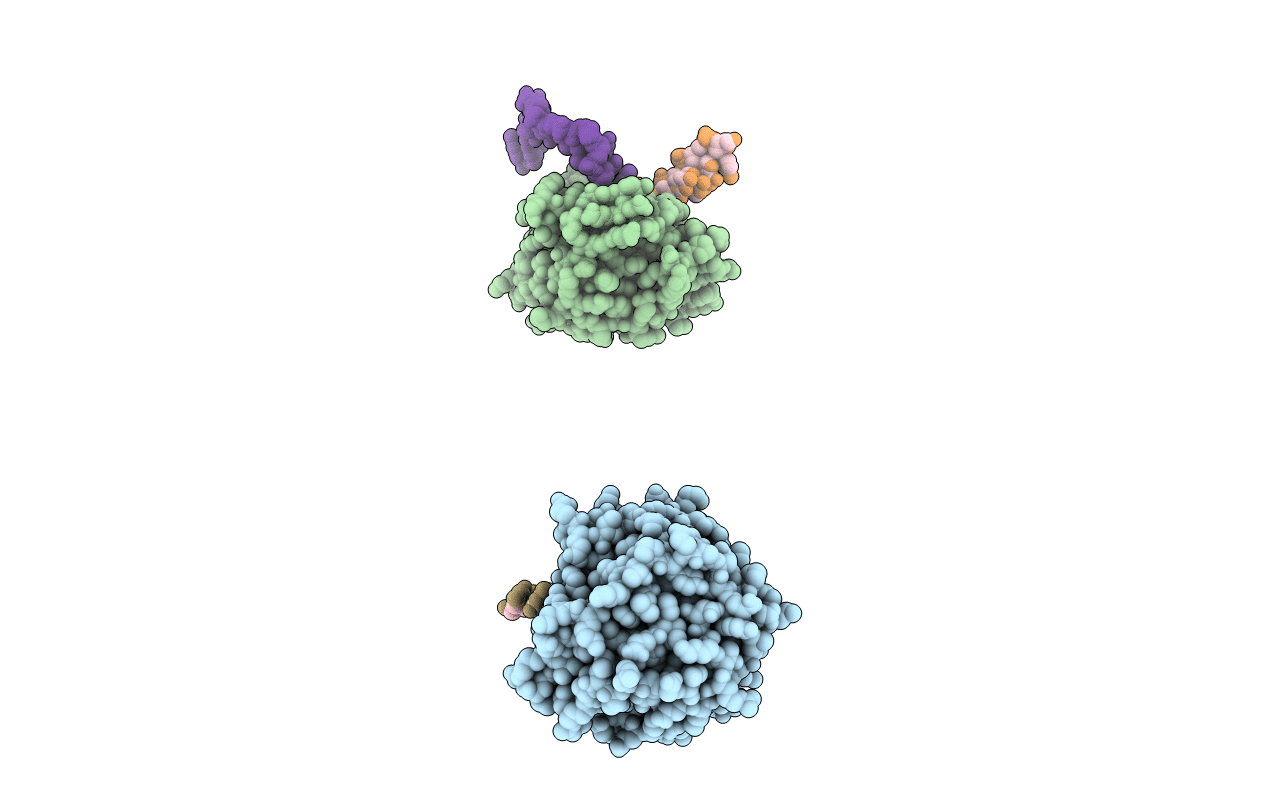 4B20 image