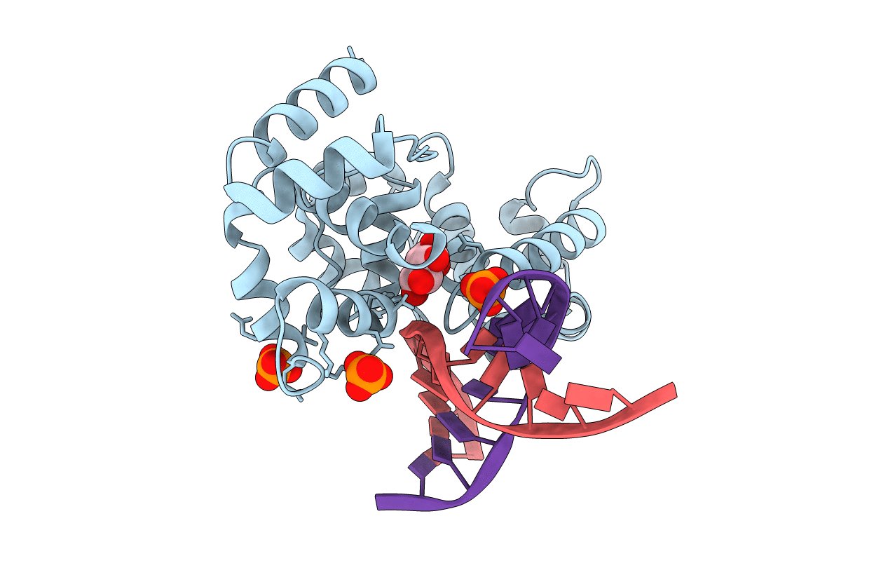 4B21 image