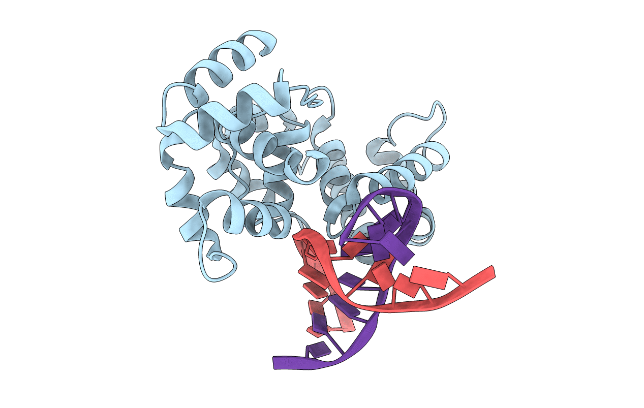 4B24 image