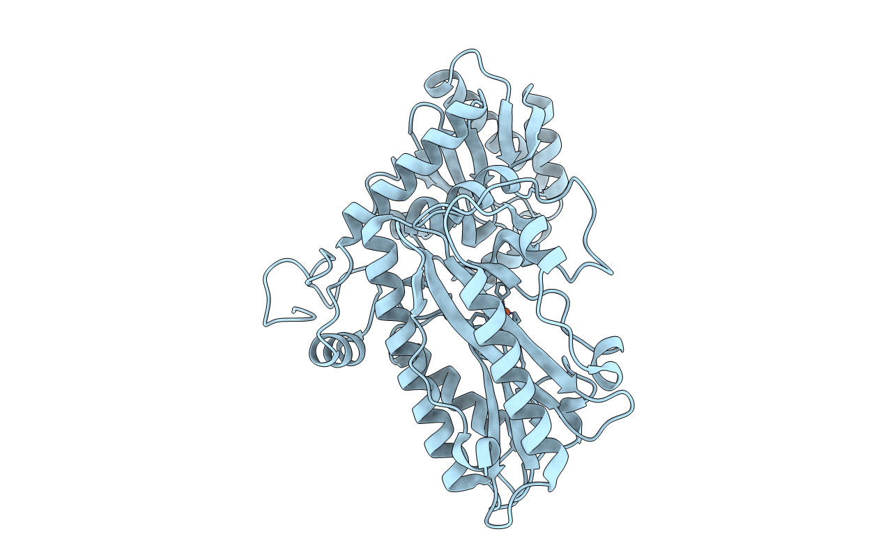 4B28 image