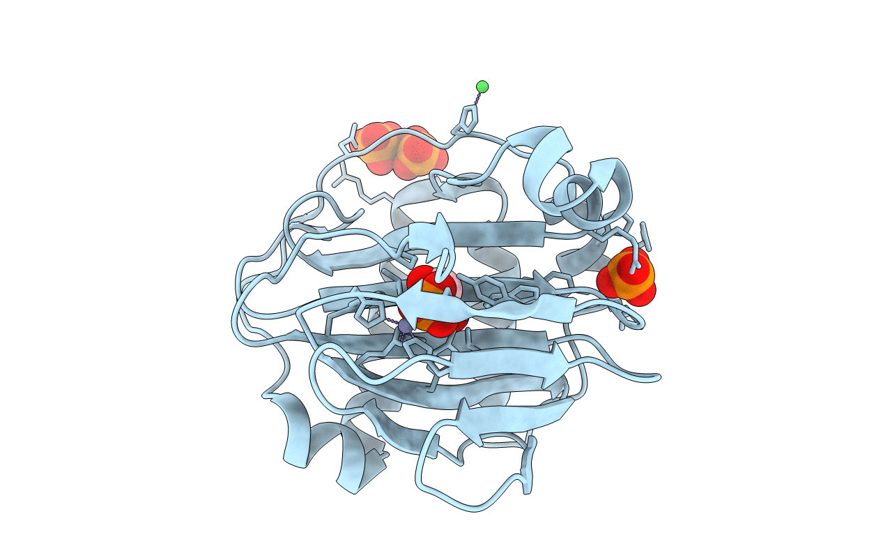 4B29 image