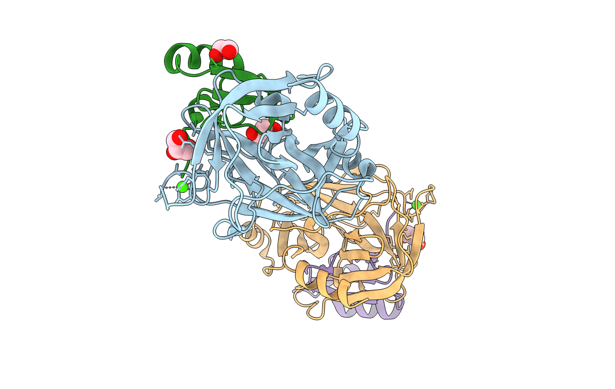 4B2A image
